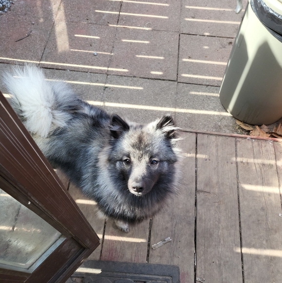 Meet your Posher, Norma - Picture 5 of 5